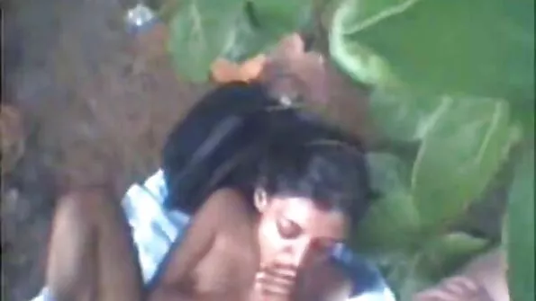 Shemale Danielle Albuquerque mufele ei cocoș în timp ce mașina fute negru pulos fundul ei