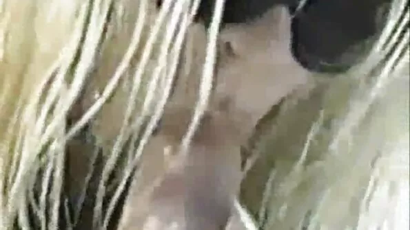 Stud exerciții Pieptoase mama vitregă a lui filmeporno blonde smulge