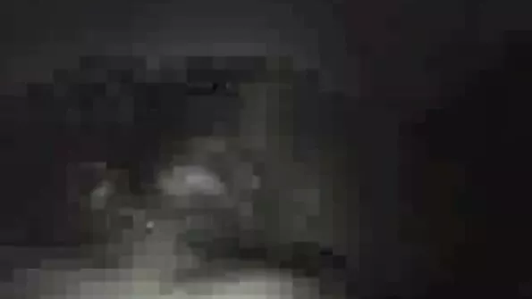 Colega De Cameră filme xxx cu negri Zburda